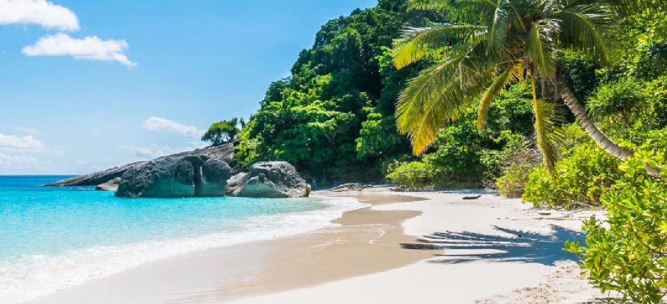 Tailor made Speed Boat Excursions